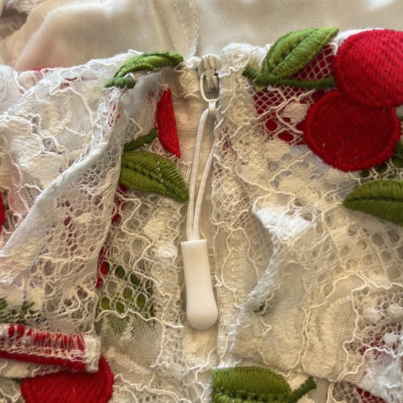 Show Me Your Mumu Rita Ruffle Mini Dress Cherry Embroidered Lace - Picture 8 of 9